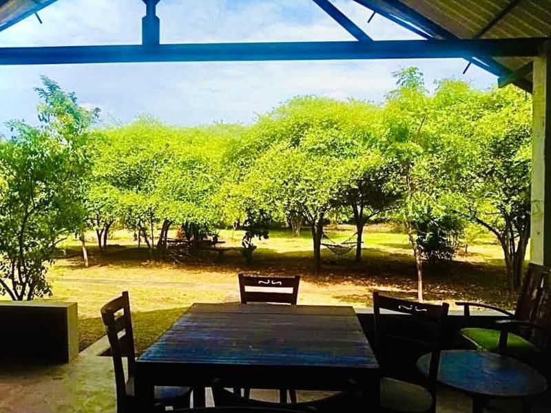 Bed and Breakfast Thihawa Eco Huts Yala Tissamaharama Exterior foto